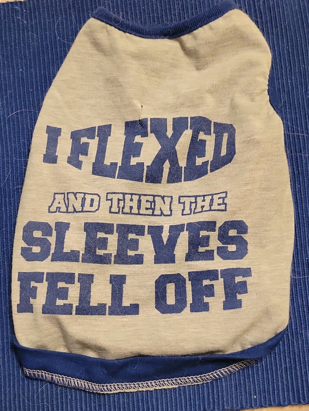 Dog Graphic Tee "I Flexed and Then the Sleeves Fell Off" - Blue/White